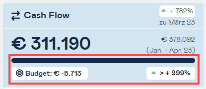 cashflow kpi budget