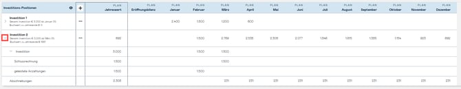 partial-investment-show-single-rows